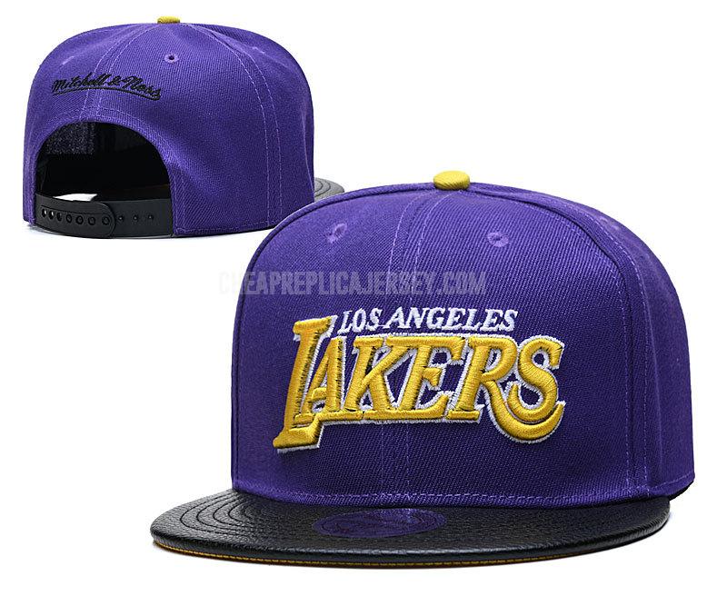 men's los angeles lakers purple ne107 basketball hat