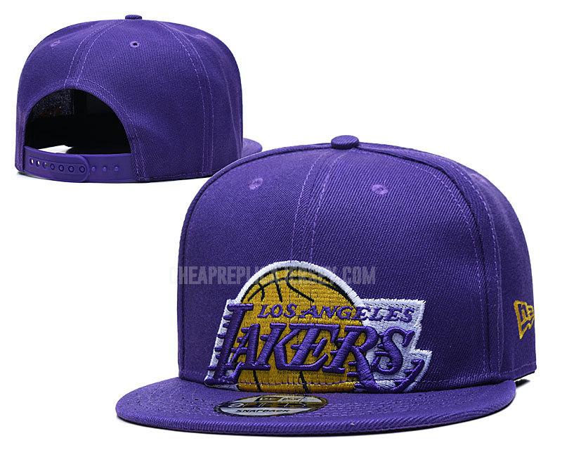 men's los angeles lakers purple ne109 basketball hat