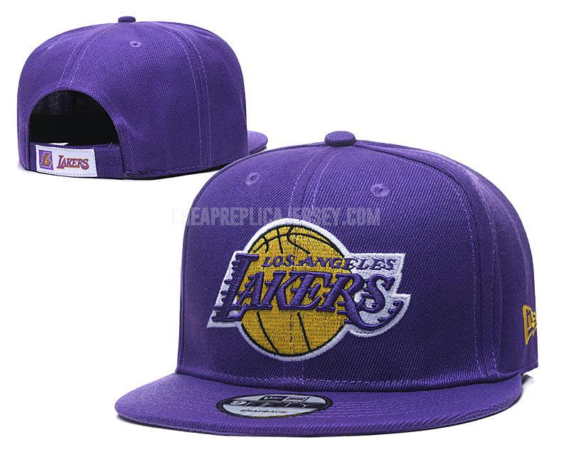 men's los angeles lakers purple ne112 basketball hat