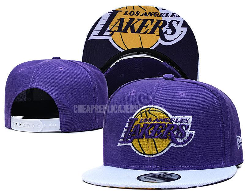 men's los angeles lakers purple ne127 basketball hat