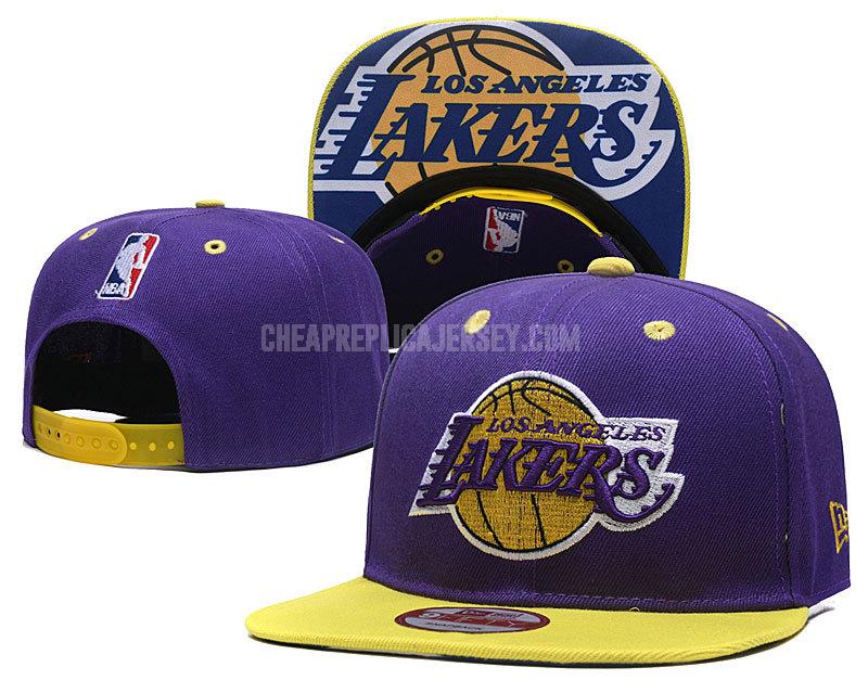 men's los angeles lakers purple ne129 basketball hat