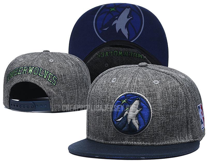 men's minnesota timberwolves gray ne179 basketball hat